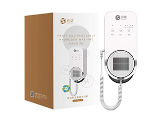 雙迪知水果蔬氫洗機